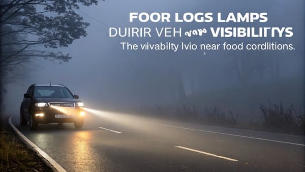 Two identical fog lights with different labels, one 'Lamp' and one 'Light'