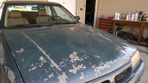 A freshly painted glossy black car hood